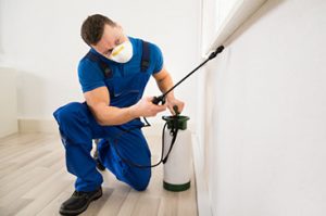 HOA pest control responsibility